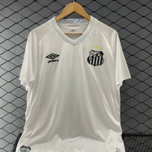 Santos Torcedor